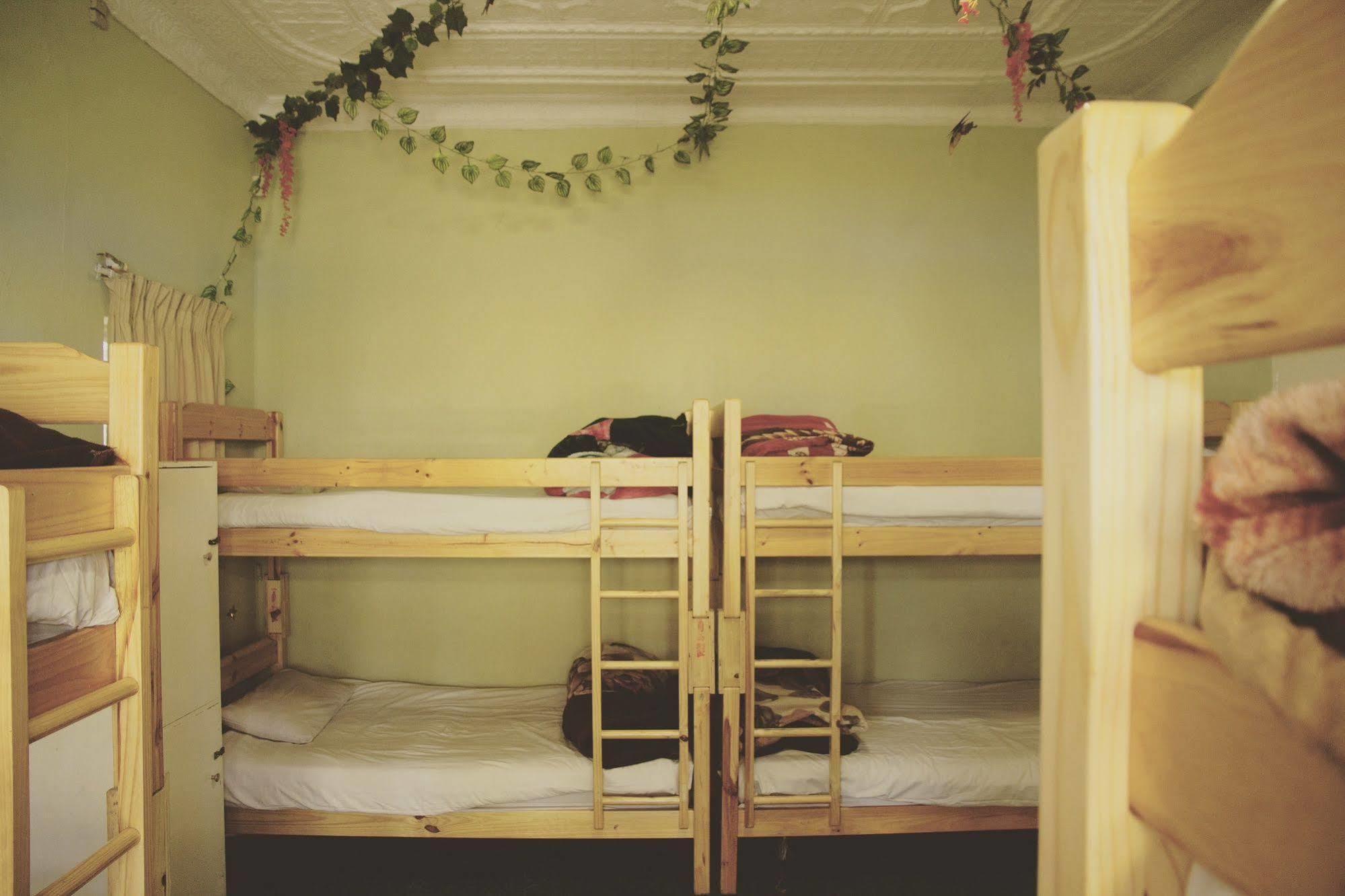 Homebase Melville Backpackers Johannesburg Dış mekan fotoğraf